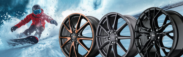 PLATIN Wheels WINTER